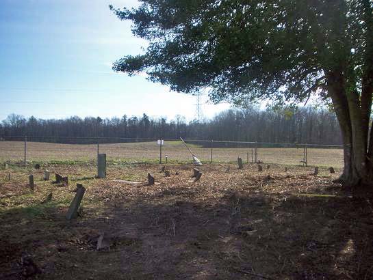 William Simpson Cemetery Video